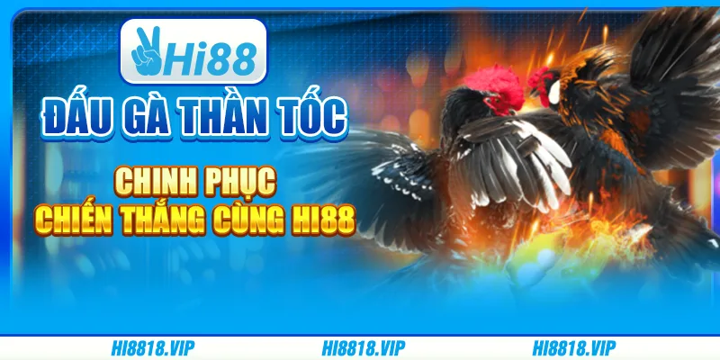 Đấu Gà Thần Tốc – Chinh phục chiến thắng cùng Hi88