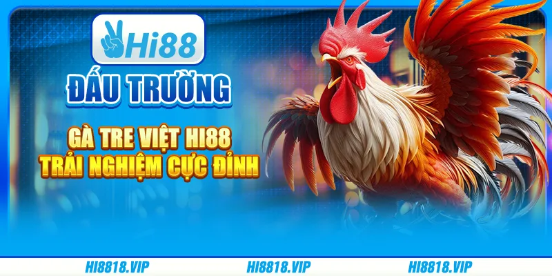 Đấu Trường Gà Tre Việt Hi88 – Trải Nghiệm Cực Đỉnh