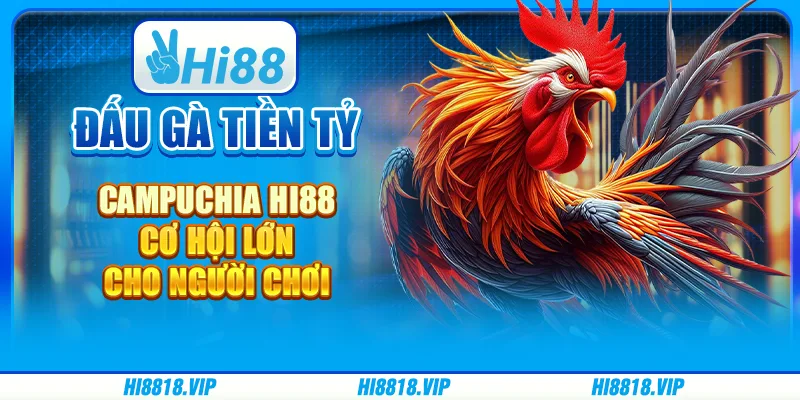 Đấu Gà Tiền Tỷ Campuchia Hi88 – Cơ Hội Lớn Cho Người Chơi